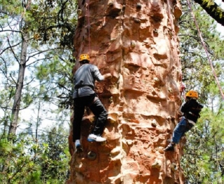  监控和学生攀爬 